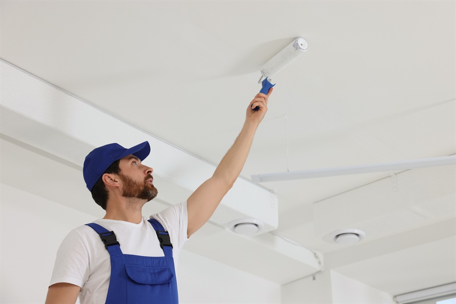 Best Paint Types and Finishes for Interior Ceilings