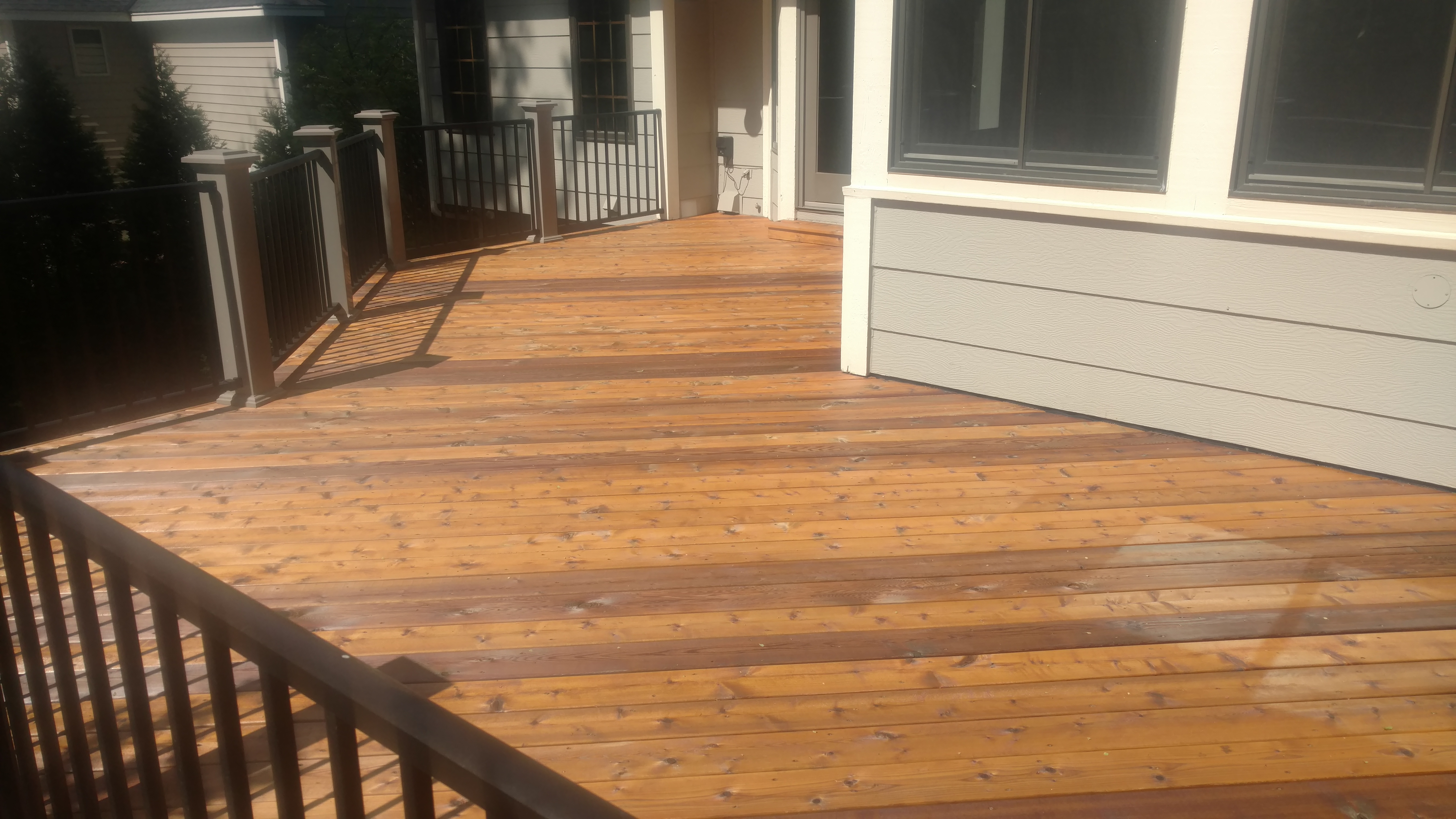 Blue Eagle Painting Project 2