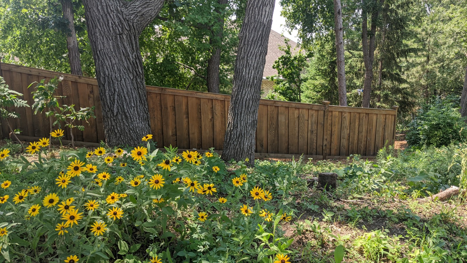 Blue Eagle Painting Project 1