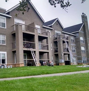 Blue Eagle Painting Project 2