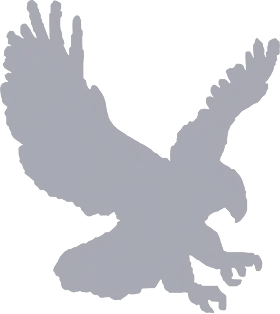 Blue Eagle Logo